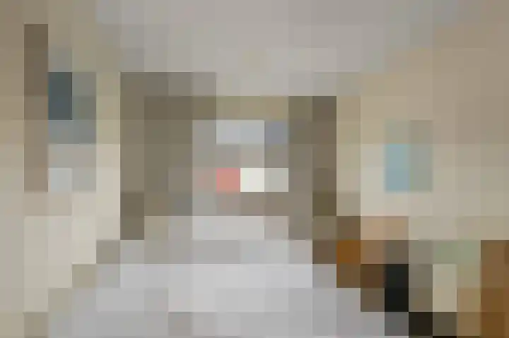 Jan Nautahof 7 Amsterdam thumbnail 21