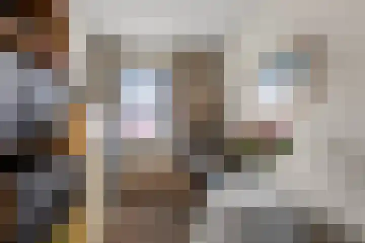 Jan Nautahof 7 Amsterdam thumbnail 23