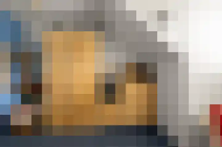 Jan Nautahof 7 Amsterdam thumbnail 26