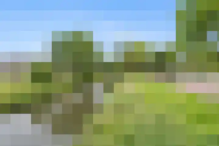 Jan Nautahof 7 Amsterdam thumbnail 31