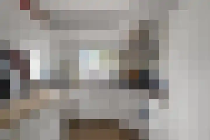 Jan Nautahof 7 Amsterdam thumbnail 4