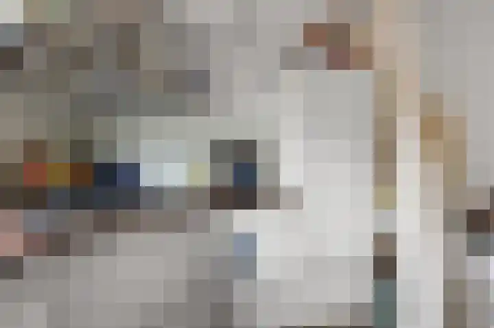 Jan Nautahof 7 Amsterdam thumbnail 5