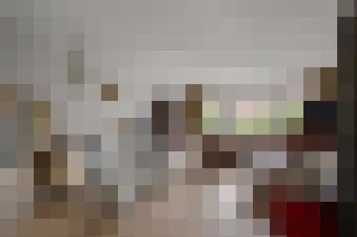 Jan Nautahof 7 Amsterdam thumbnail 7
