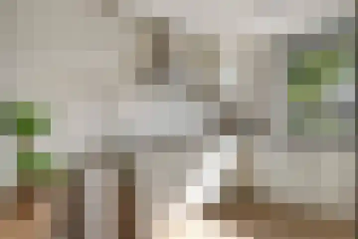 Jan Nelissenlaan 16 Amstelveen thumbnail 10