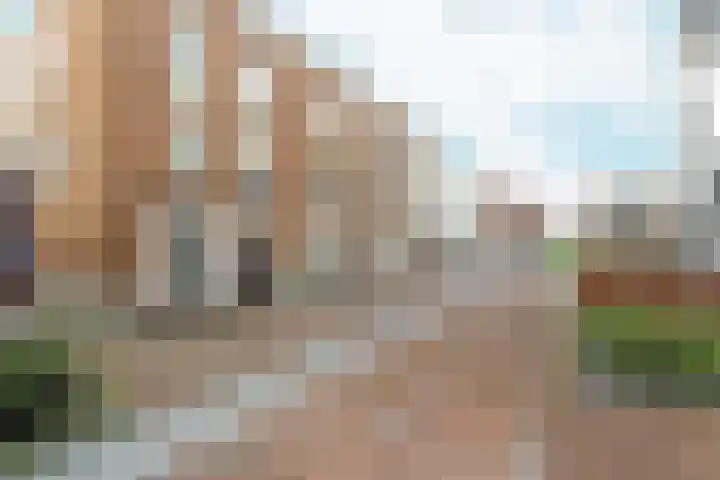 Jan Nieraethstraat 1 Nijmegen thumbnail 5