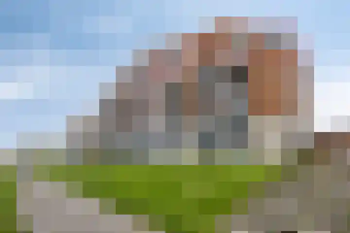 Jan Nieraethstraat 80 Nijmegen thumbnail 67