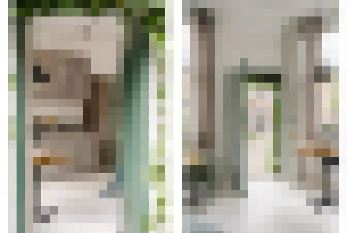 Jan Nieuwenhuijzenstraat 24 Haarlem thumbnail 5
