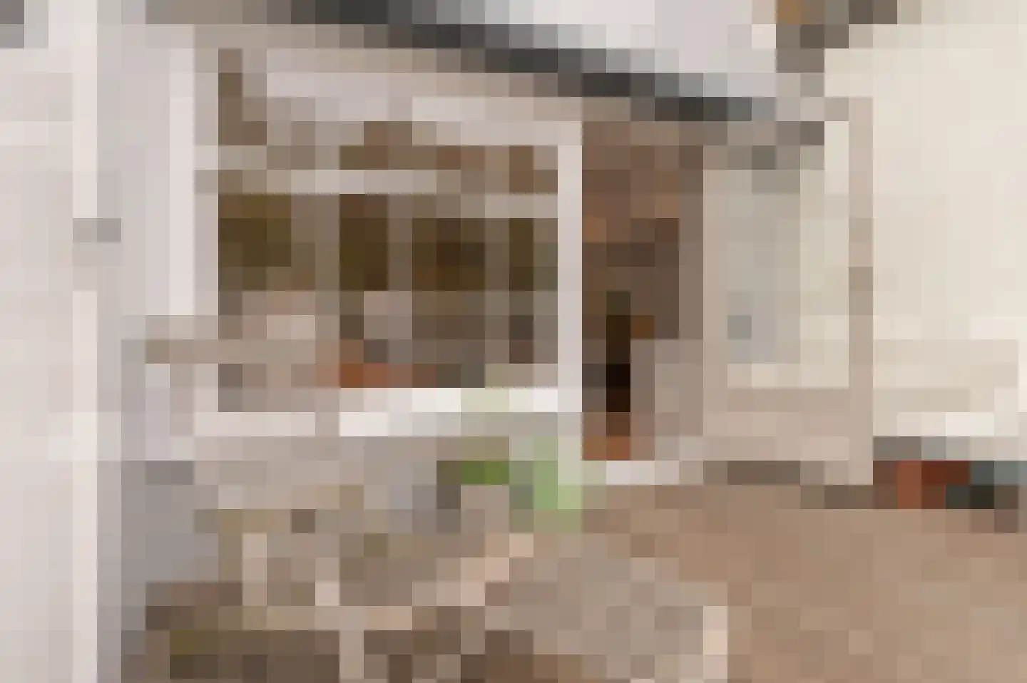 Jan Nieuwenhuizenplein 15 Edam thumbnail 25