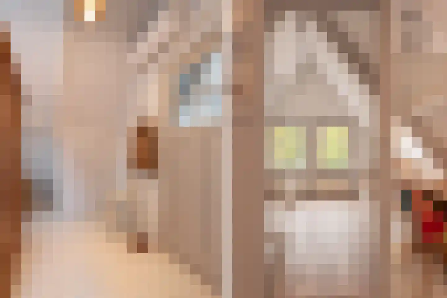Jan Nieuwenhuizenplein 15 Edam thumbnail 32