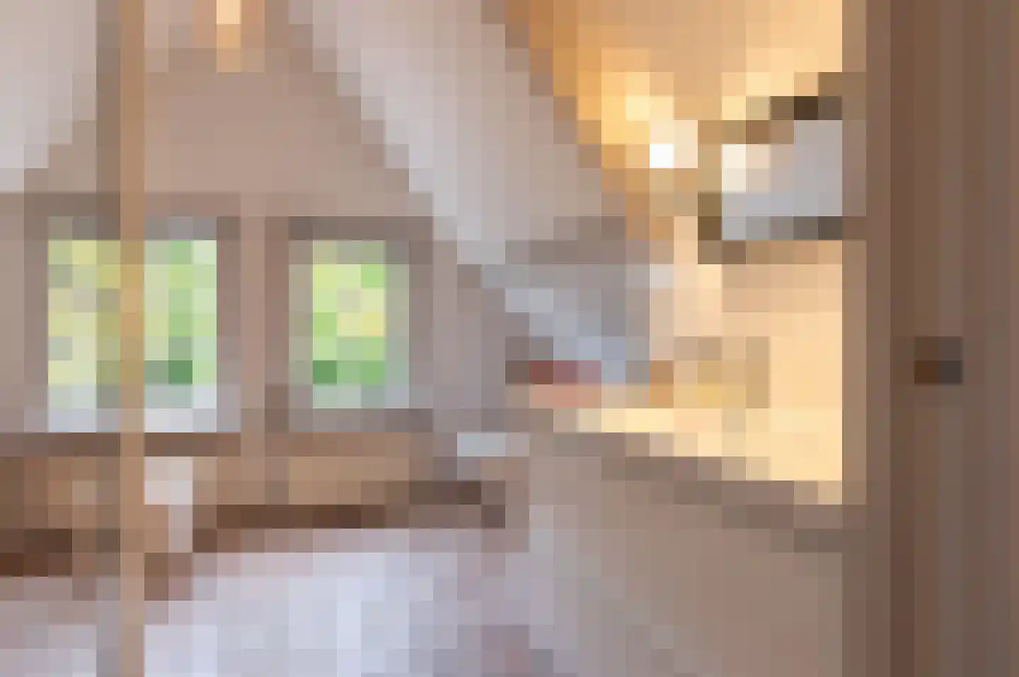 Jan Nieuwenhuizenplein 15 Edam thumbnail 33