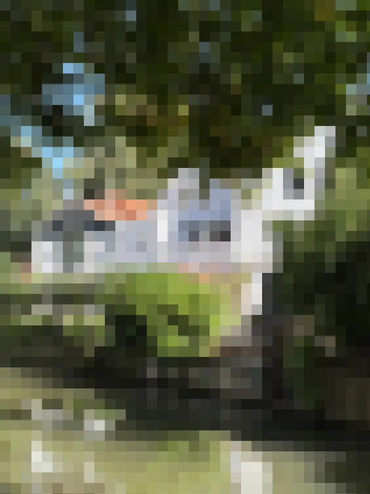 Jan Nieuwenhuizenplein 15 Edam thumbnail 44