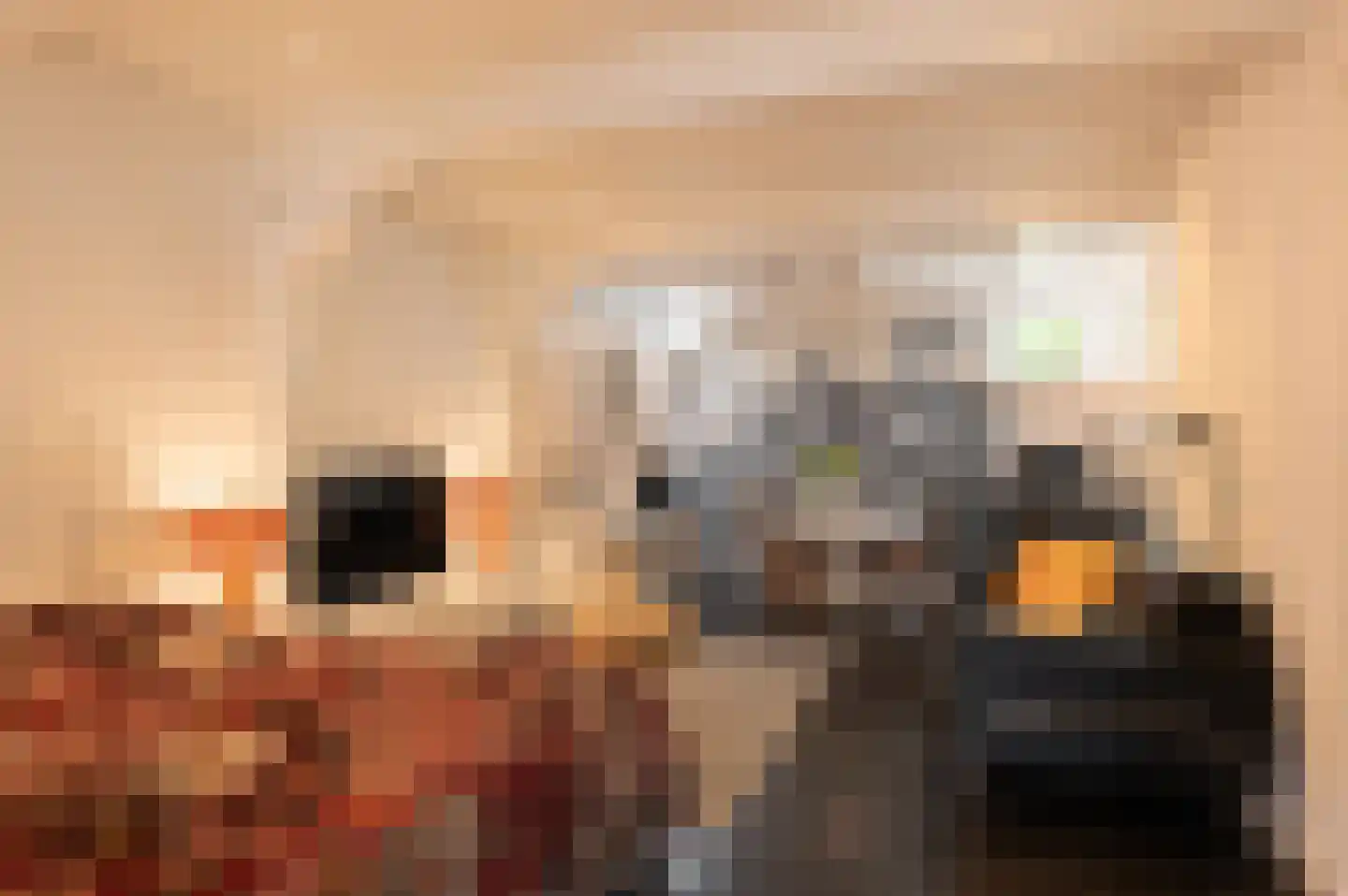 Jan Nieuwenhuizenplein 15 Edam thumbnail 8