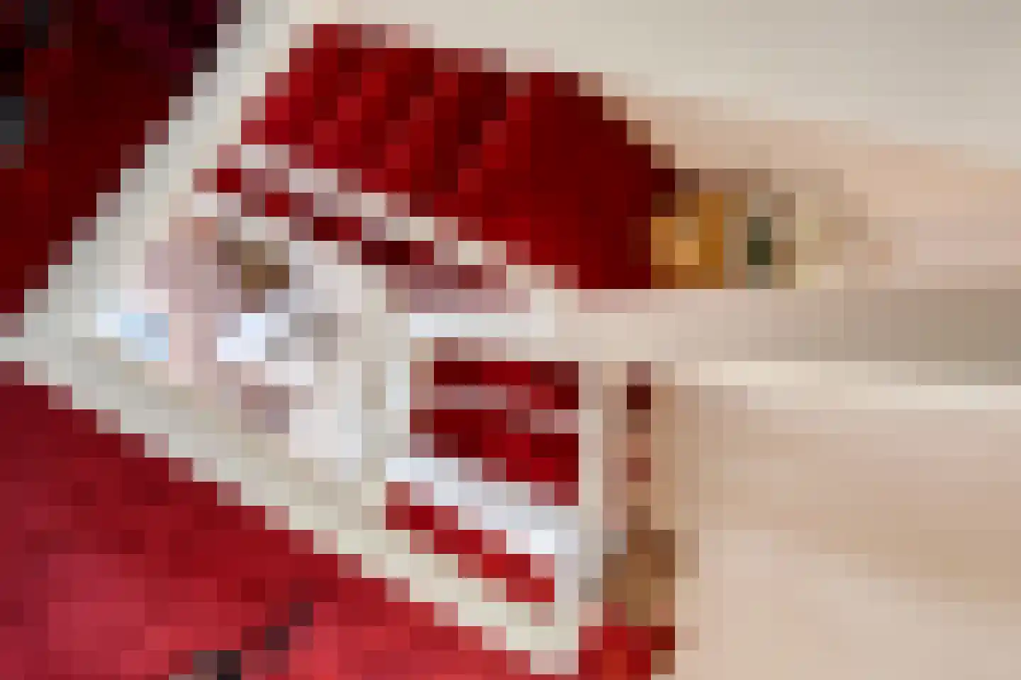 Jan Nieuwenhuyzenlaan 10 Monnickendam thumbnail 15