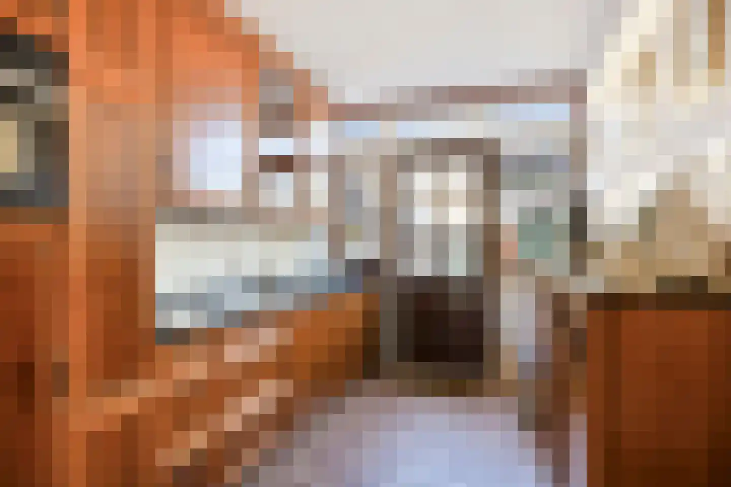 Jan Nieuwenhuyzenlaan 10 Monnickendam thumbnail 4