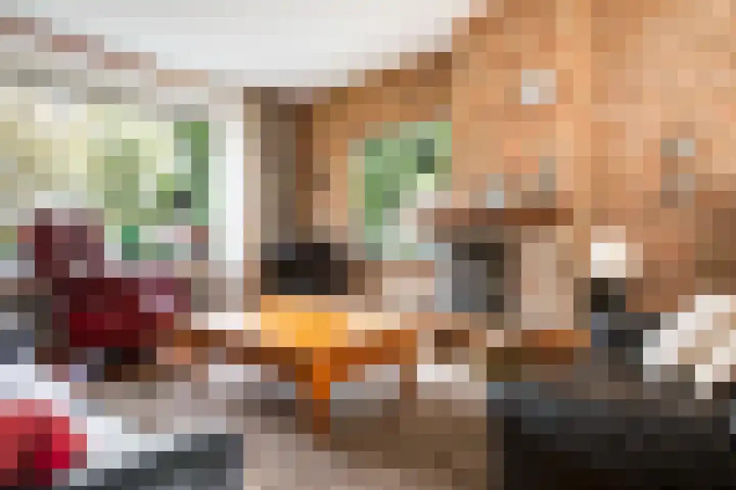 Jan Nieuwenhuyzenlaan 25 Monnickendam thumbnail 10