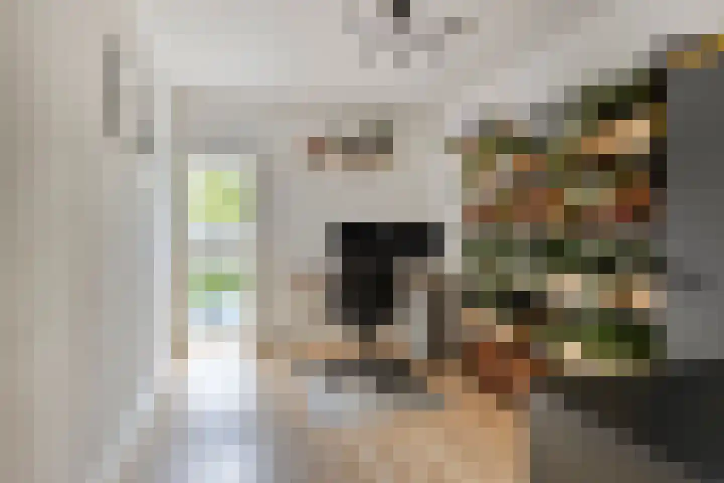 Jan Nieuwenhuyzenstraat 1 C4 Breda thumbnail 14