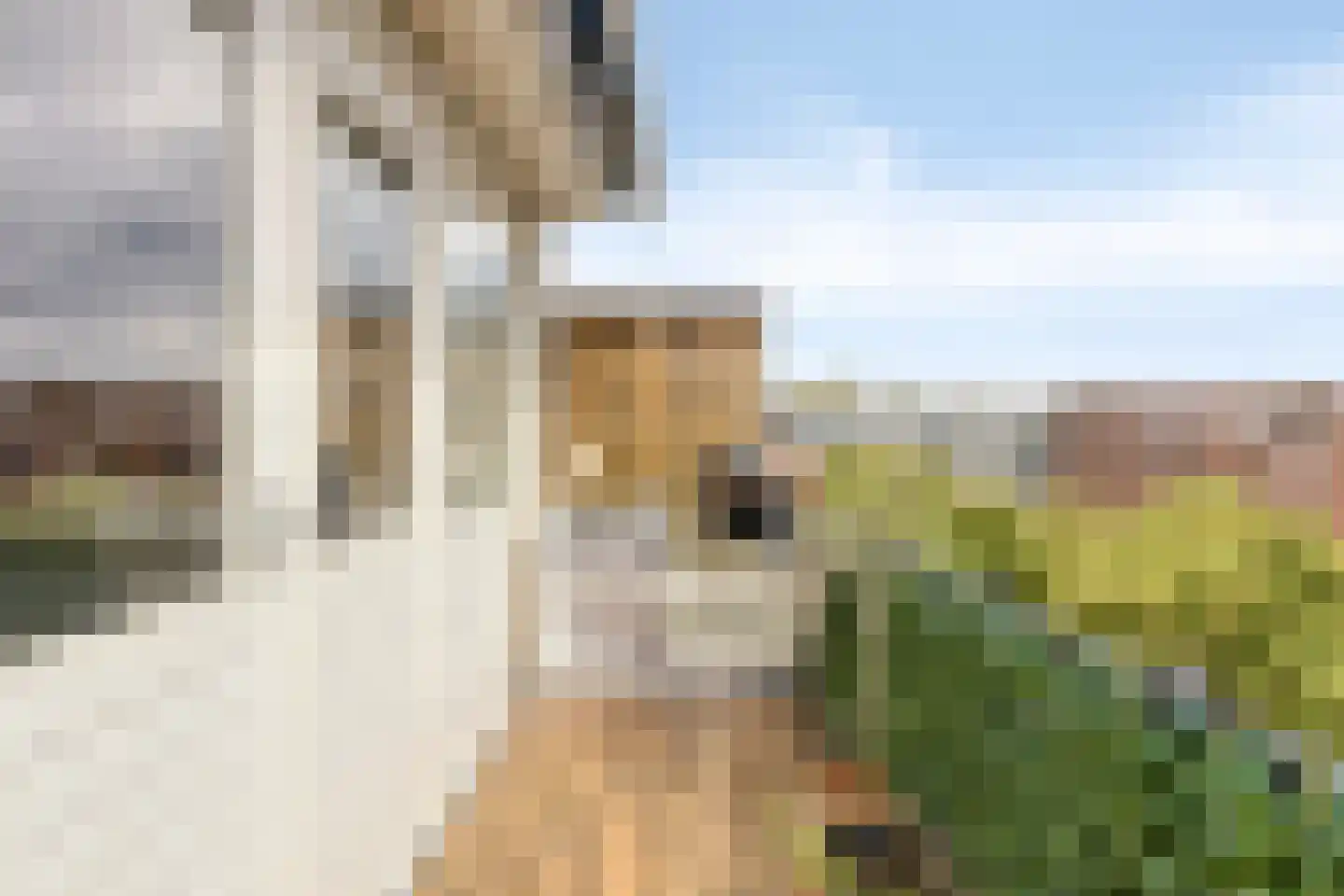 Jan Nieuwenhuyzenstraat 1 C4 Breda thumbnail 20