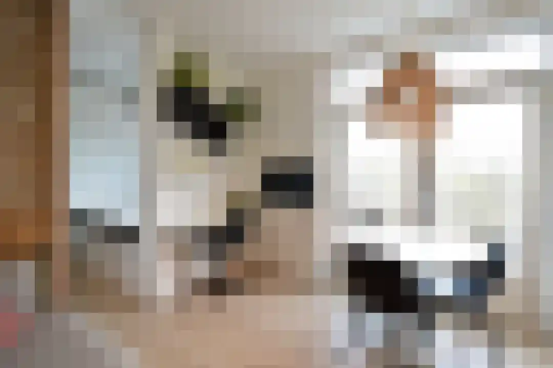 Jan Nieuwenhuyzenstraat 18 Breda thumbnail 4