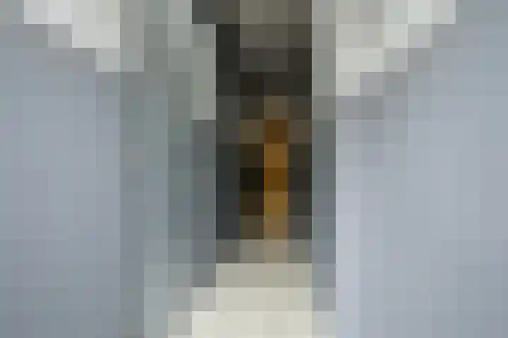 Jan Nieuwenhuyzenstraat 3 C6 Breda thumbnail 42