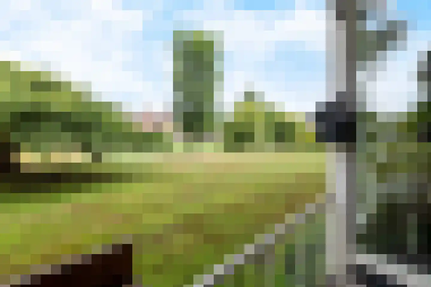 Jan Nieuwenhuyzenstraat 36 Breda thumbnail 30