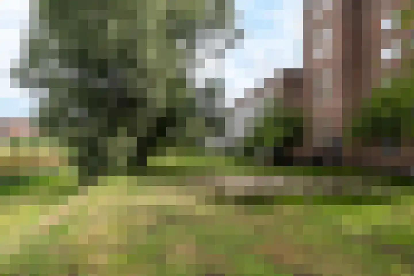 Jan Nieuwenhuyzenstraat 36 Breda thumbnail 47