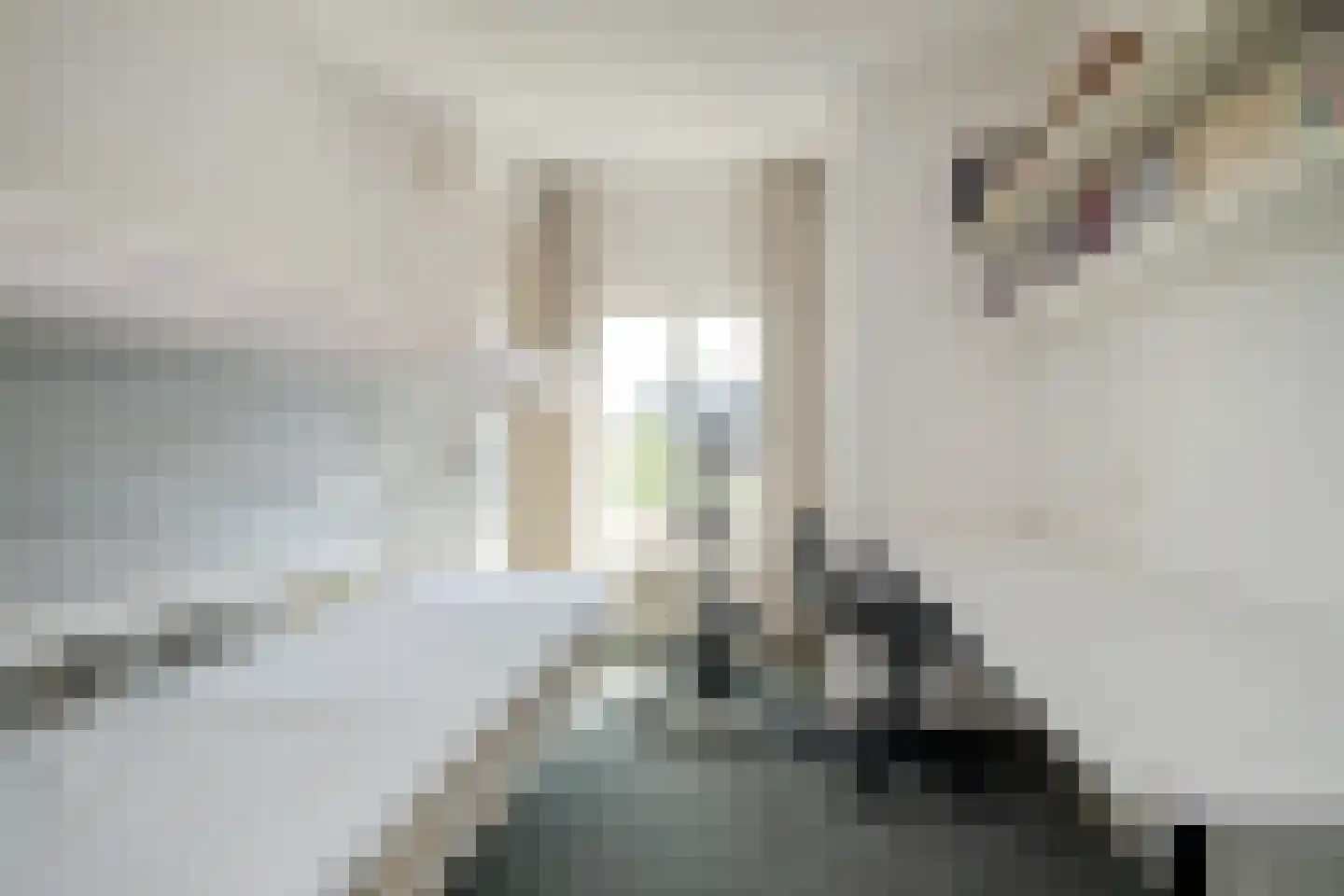 Jan Nieuwenhuyzenstraat 40 A Breda thumbnail 23