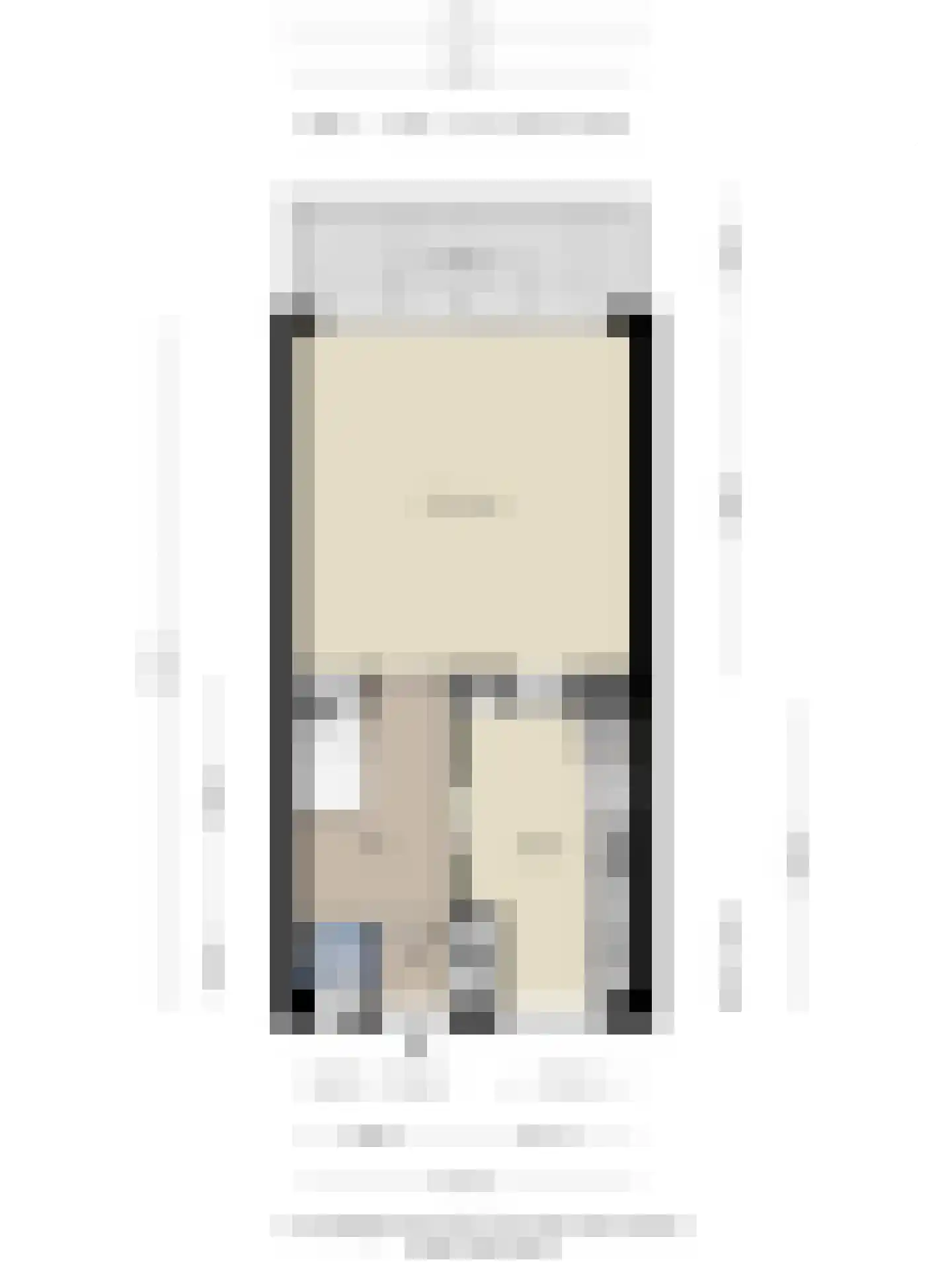 Jan Nieuwenhuyzenstraat 58 B Breda thumbnail 33
