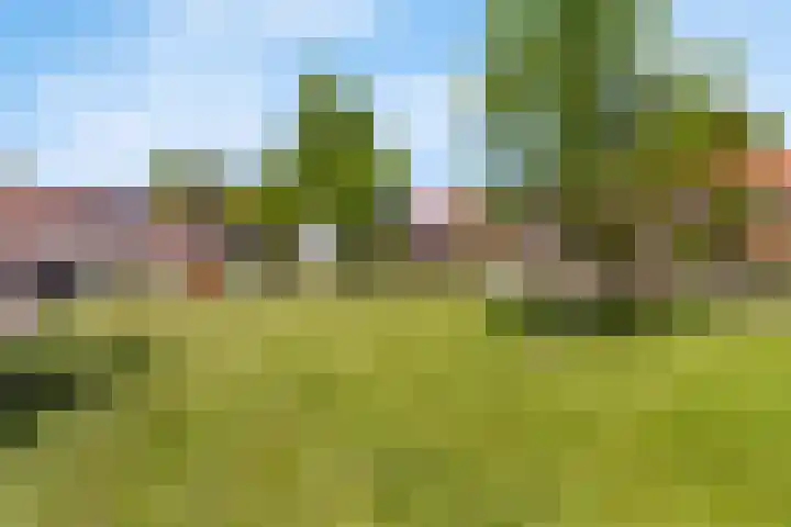 Jan Nooitgedagtstraat 31 IJlst thumbnail 4