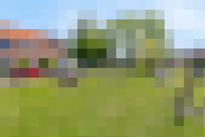 Jan Nooitgedagtstraat 31 IJlst thumbnail 5