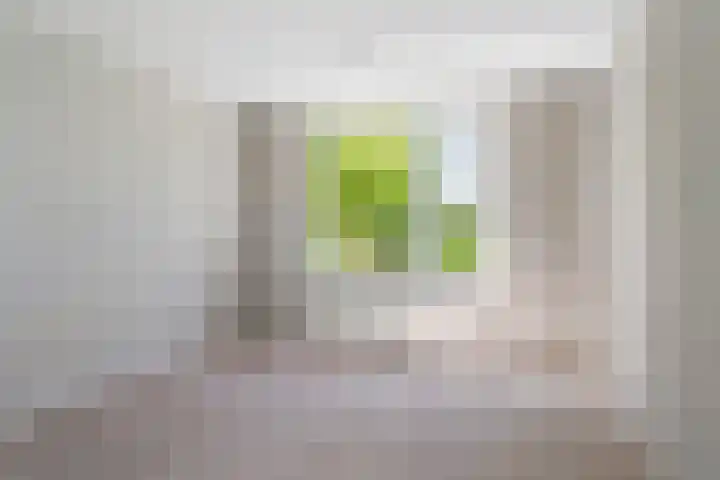 Jan Nooitgedagtstraat 31 IJlst thumbnail 9