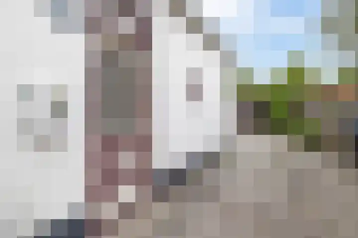 Jan Oldenburgerstraat D 61 Nieuwe Pekela thumbnail 8