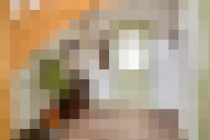 Jan Oldenburgerstraat E 12 Nieuwe Pekela thumbnail 11