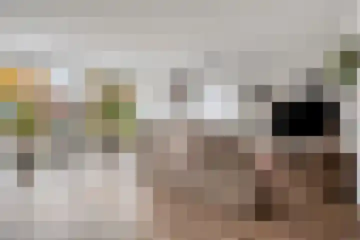 Jan Oldenburgerstraat E 12 Nieuwe Pekela thumbnail 15