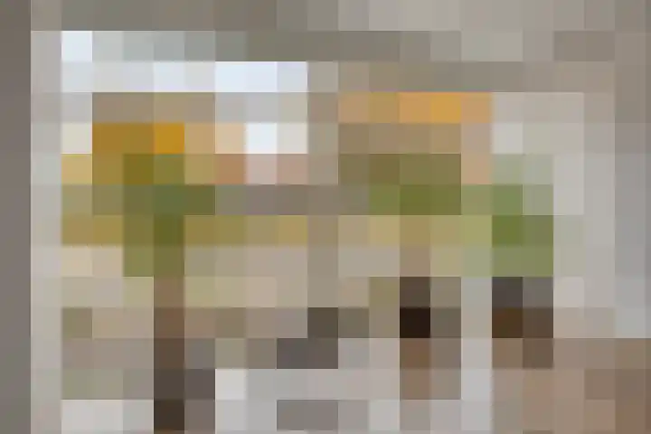 Jan Oldenburgerstraat E 12 Nieuwe Pekela thumbnail 20