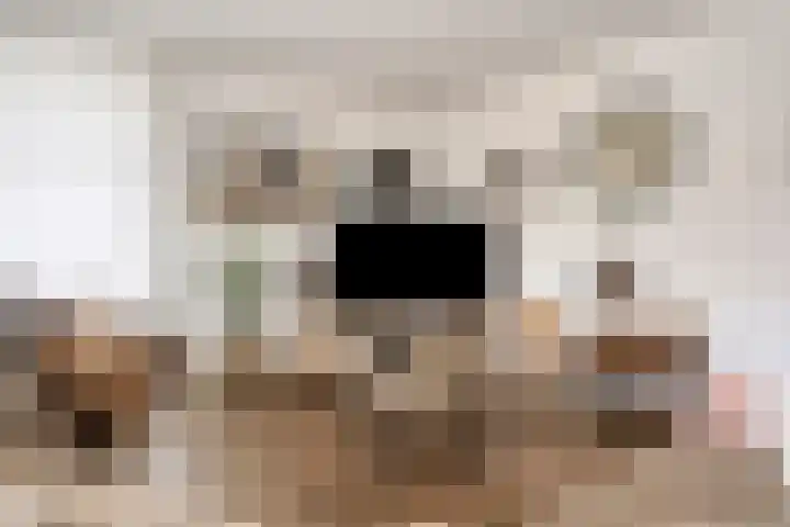 Jan Oldenburgerstraat E 12 Nieuwe Pekela thumbnail 21