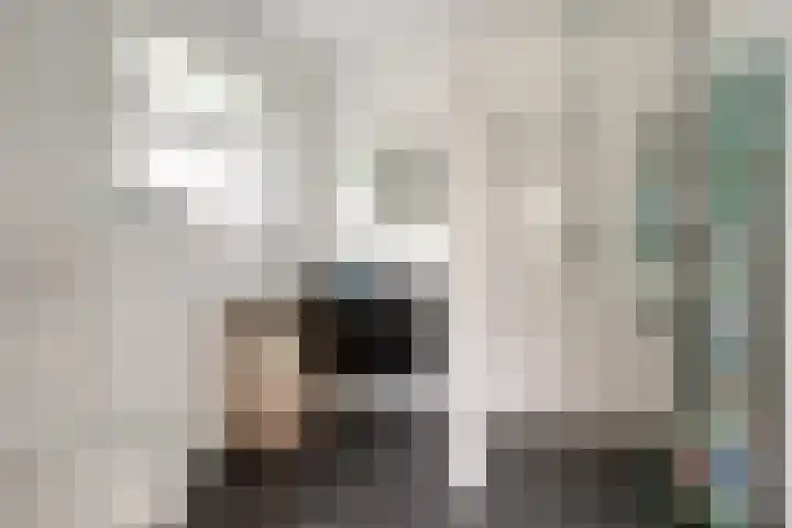 Jan Oldenburgerstraat E 12 Nieuwe Pekela thumbnail 32