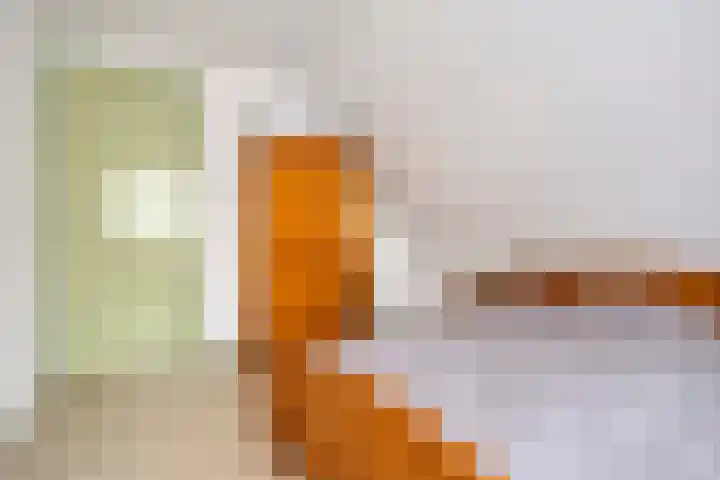 Jan Oldenburgerstraat E 12 Nieuwe Pekela thumbnail 41