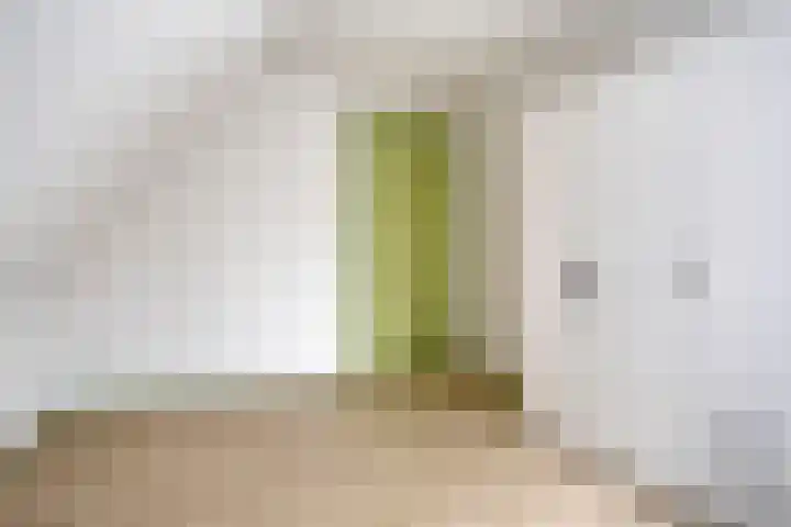 Jan Oldenburgerstraat E 12 Nieuwe Pekela thumbnail 48