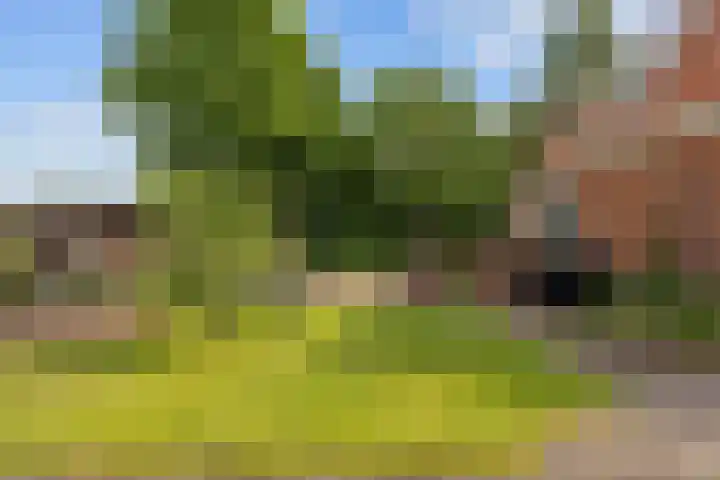 Jan Oldenburgerstraat E 41 Nieuwe Pekela thumbnail 13