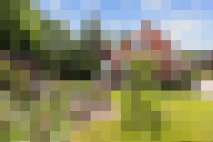 Jan Oldenburgerstraat E 41 Nieuwe Pekela thumbnail 15
