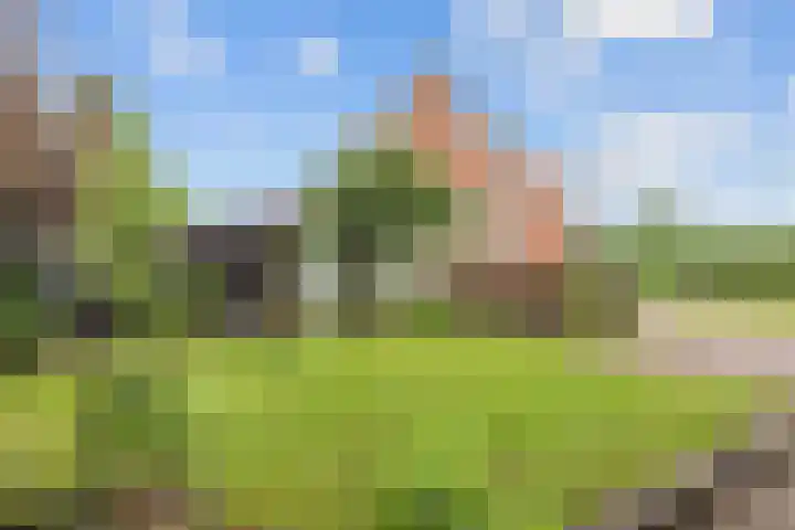 Jan Oldenburgerstraat E 41 Nieuwe Pekela thumbnail 19