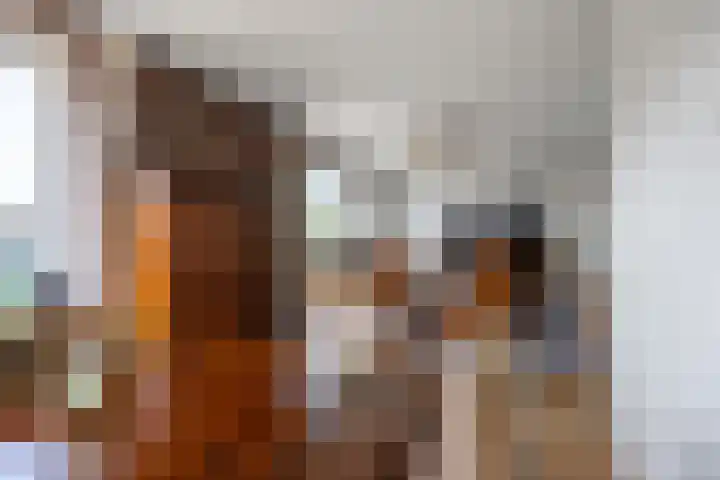 Jan Oldenburgerstraat E 41 Nieuwe Pekela thumbnail 26
