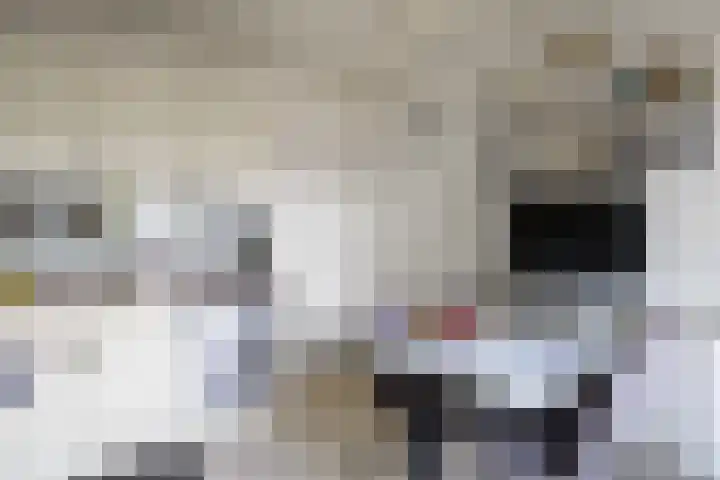 Jan Oldenburgerstraat E 41 Nieuwe Pekela thumbnail 33