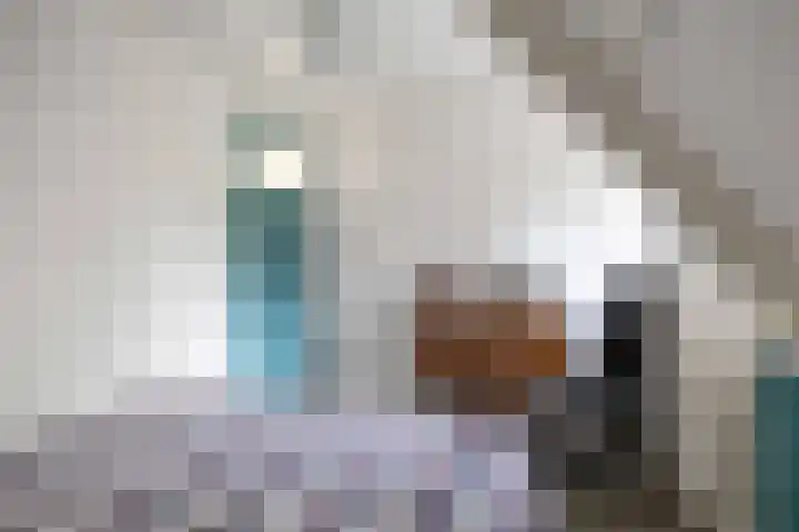 Jan Oldenburgerstraat E 41 Nieuwe Pekela thumbnail 47