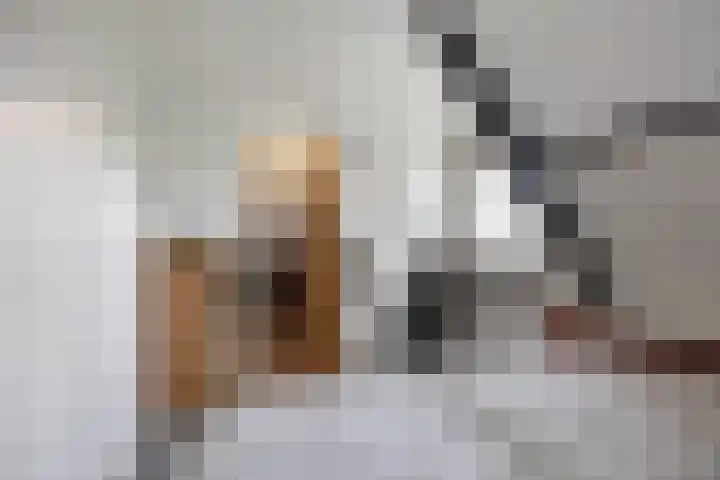 Jan Oldenburgerstraat E 41 Nieuwe Pekela thumbnail 51
