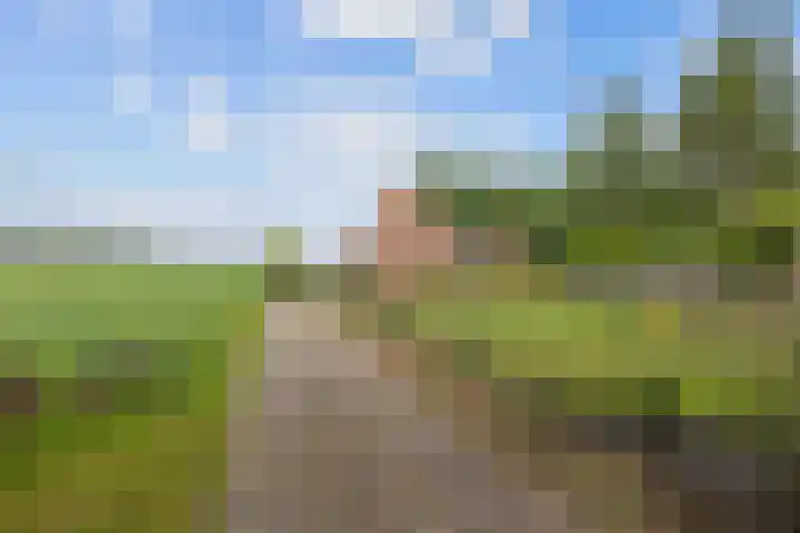 Jan Oldenburgerstraat E 41 Nieuwe Pekela thumbnail 8