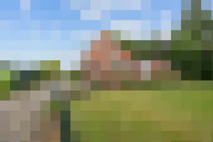 Jan Oldenburgerstraat E 41 Nieuwe Pekela thumbnail 9