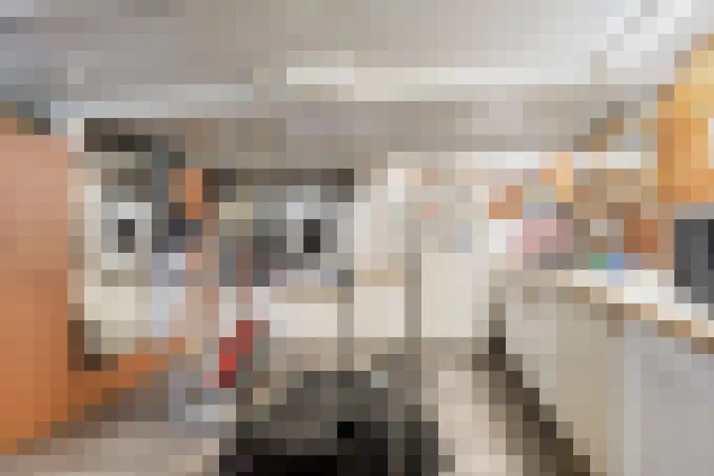 Jan Oldenburgerstraat E 62 Nieuwe Pekela thumbnail 17