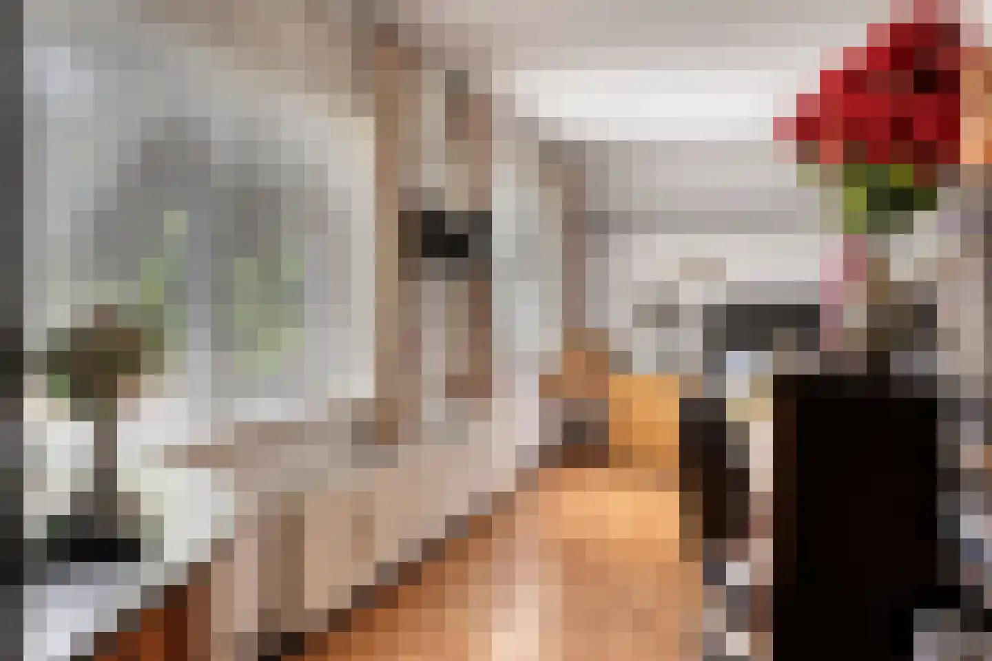 Jan Oldenburgerstraat E 62 Nieuwe Pekela thumbnail 28