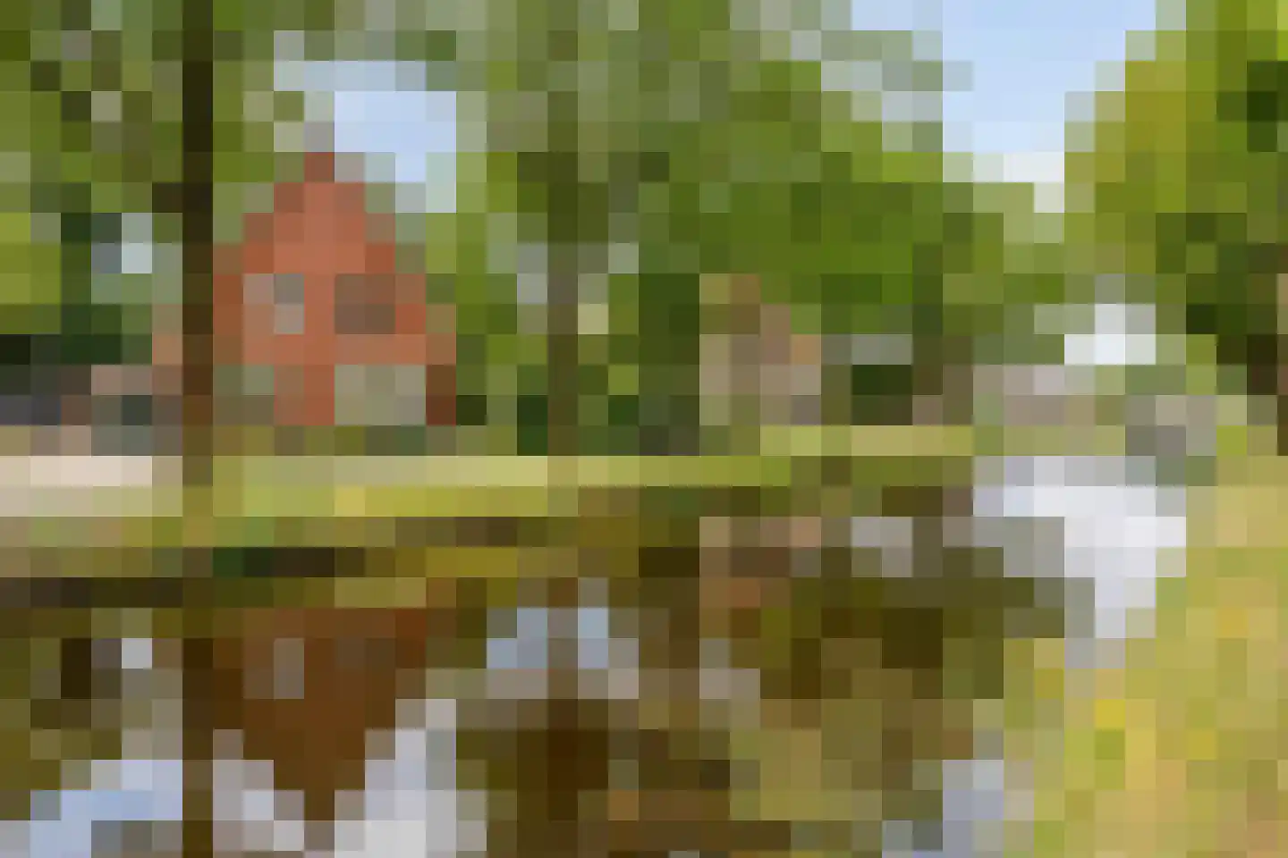 Jan Oldenburgerstraat E 62 Nieuwe Pekela thumbnail 39